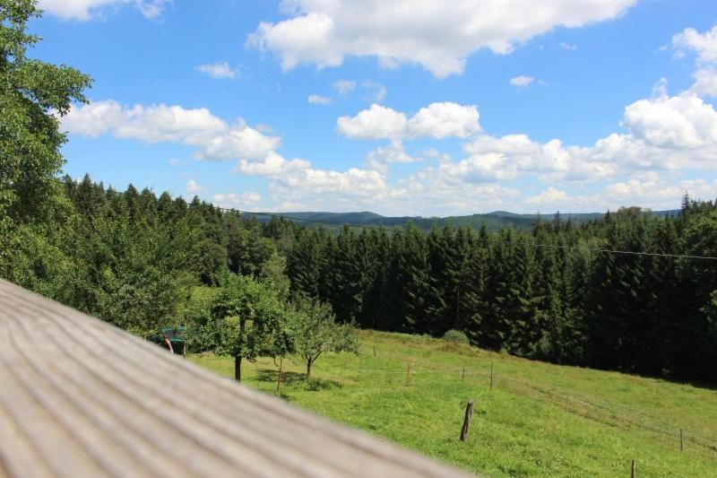 Sigmundenhof Apartment Schonach im Schwarzwald Exterior photo
